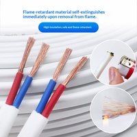 Harga Grosir Kabel Listrik Fleksibel Tembaga Berisolasi PVC Tegangan Rendah 1*4.0 mm 3-inti H05VV-F untuk Konstruksi