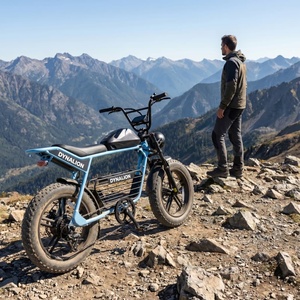 Bicicleta Eléctrica Ergonómica Vintage con Shimano de 7 Velocidades, Pedelec Premium para Exploración en Cabanas de Montaña - Product Image 2