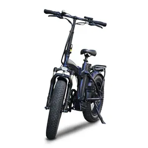 جديد وصول المزدوج 500w المحركات مركزا 20x4.0 دراجة كهربائية عريضة الإطارات الدراجة 48v Ebike مع شاشة الكريستال السائل ل الجبلية