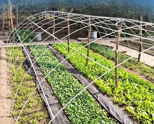 Suministro Directo de Fábrica, Túnel de Cultivo de Fibra de Vidrio para Uso Agrícola, Aro de 4mm-16mm Personalizable - Product Image 4