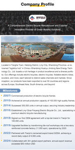 Vélo électrique pliable à longue durée de vie, amortisseur de chocs, batterie au plomb-acide 48V, vélo électrique avec verrouillage antivol - Product Image 2