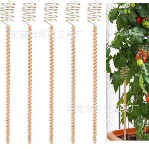 Gardening Plant Support Stakes Bronze Spiral Metal 6Pcs With 3 <b>Small</b> <b>Tools</b> For Home Gardening - Product Image 4