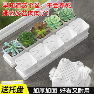 Pot à succulentes Qinfeng carré 7,5 cm x 8 cm x 3 cm, jardinière en résine respirante pour bureau et jardinage à domicile - Product Image 5