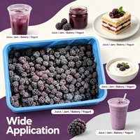 IIQF Diepvries Zwarte Bessen, Gehele Diepvries Zwarte Bessen voor Sap, Jam, Bakkerijproducten, Yoghurt, Desserts en Voedingsmiddelenfabrieken, Bulk Export