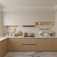 Meuble de rangement de cuisine en bois au design moderne avec panneau de porte en acrylique, crédence, glissière de tiroir, robinet d'évier et charnière - Meubles de Chine à vendre