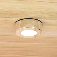 Maison pour chat en bois massif, moderne, multifonctionnelle et étanche, avec porte coulissante en verre et griffoir, pour chats d'intérieur - Vente en gros