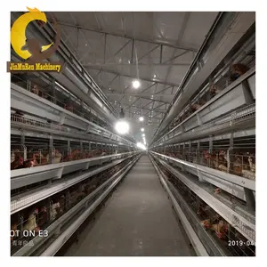 Jinmuren Système automatique d'élevage de volailles Équipement pour poulet de couche Équipement pour ferme de cage à poulet