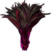 Plumes de coq de 25-30 cm pour artisanat, bricolage, costumes, accessoires de chapeau, déguisements, fêtes, carnaval, décorations de mariage