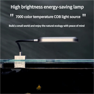 맞춤형 어항 스트림 울트라 화이트 유리 조경 탱크 홈 중소 데스크탑 어항 통합 필터 - Product Image 4