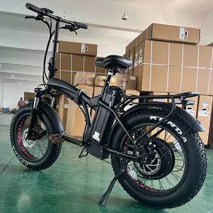 Foldable eco 1000w 750w powerful fat tire electric bike for adults