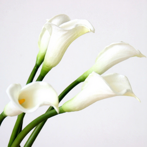Fiori Artificiali in PU Realistici, Piccoli Calla Lily per Decorazioni Matrimoniali, <span class=keywords><strong>Casa</strong></span> e <span class=keywords><strong>San</strong></span> <span class=keywords><strong>Valentino</strong></span> - Product Image 1