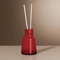 Bouteilles diffuseurs coniques en verre rouge personnalisées en usine, de 50 ml à 300 ml, flacons en verre vides pour aromathérapie, couleur et logo personnalisables