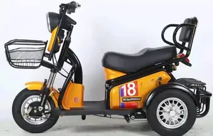 Venta caliente bicicleta eléctrica 3 ruedas pasajeros triciclo Scooter Eléctrico proveedores