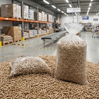 Granulés de biomasse haut de gamme écologiques à faible teneur en cendres, haute valeur esthétique, haute densité, faciles à nettoyer, pour pique-nique - Vente chaude
