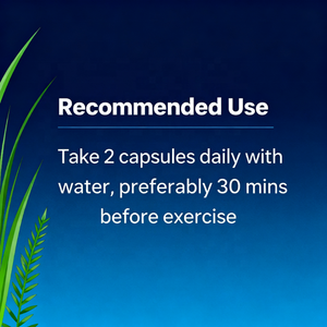 Turkesterone naturale & Tongkat Ali capsule con puro estratto di Turkesterone integratore a base di erbe per energia & vitalità Boost - Product Image 4