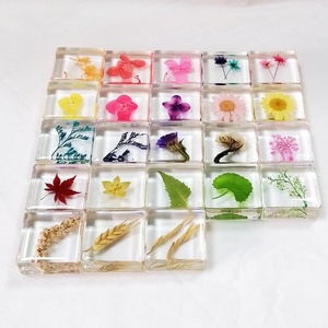 Flor seca real en bloque de resina Artesanía de resina Espécimen de planta colorida epoxi para la decoración del hogar de la Mesa - Product Image 3