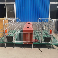 Cage de maternité commerciale pour truies, type H, en acier galvanisé, antirouille, longue durée de vie, garantie 1 an, ensemble complet d'alimentation et d'abreuvement