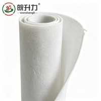 Tissu de séparation géotextile tissé WSL pour l'isolation du ballast des voies ferrées et des sous-drivages routiers, empêche le mélange du sol, fonction de filtration