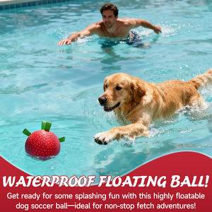 KINYU çevre dostu Ultra dayanıklı patentli PU ağır çok sekmeli interaktif açık eğitim-özel çiğneme dayanıklı köpek topu - Product Image 6