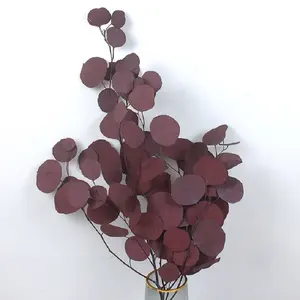 핫 잘 팔리는 긴 지속 장식 꽃 유칼립투스 branches round 잎 유칼립투스 유칼립투스 잎 대 한 홈 장식