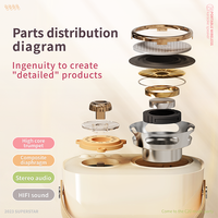 Haut-parleur Karaoké 1000 mAh avec Micro, Bluetooth, Radio FM Portable – Vente en Gros Usine