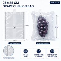 Sac isotherme gonflable compatible chaîne du froid pour raisins, pour le transport de produits frais sur longs trajets