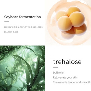 Cura Della Pelle con Carnosina Marchio Privato, Routine Skincare Anti-Età, Trattamento Viso Nutriente Essenziale al Ginseng Rosso Coreano - Product Image 5
