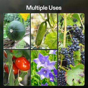 Filet de culture robuste pour jardin, en polyester, maille carrée, pour tomates, concombres, haricots, fruits et plantes grimpantes - Product Image 6