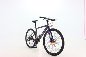 Bicicleta de Montaña Tradicional de 29 Pulgadas - Cuadro de Acero Resistente, Frenos de Disco de Fibra de Carbono, Neumáticos Anchos, 27 Velocidades, Suspensión Delantera, Downhill 4A11 Titanio - Product Image 5