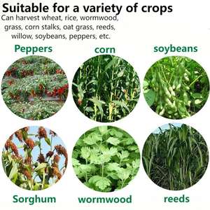 آلة حصاد الأرز الصغيرة الفعالة، مكون أساسي، حاصدة بثلاثة صفوف، محرك ديزل، مناسبة للأراضي الزراعية والجبال - Product Image 5