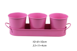 BX Garden Petite jardinière en métal en <span class=keywords><strong>acier</strong></span> <span class=keywords><strong>galvanisé</strong></span> Pot de fleur de bureau décoratif avec plateau pour affichage d'herbes et de fleurs - Product Image 3