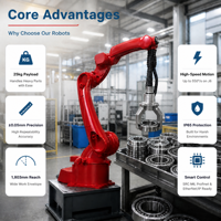 Robot Articulado de 25 kg con Certificación CE, Precisión para Envasado de Alimentos, Bebidas y Farmacéuticos, Automatización de Recogida y Colocación, Brazo Robótico Industrial