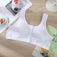 Pakaian dalam wanita, Bra dorong tanpa kelim, Bralette, pakaian dalam wanita intim, dekorasi renda seksi