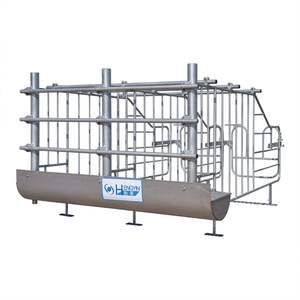 قفص الحمل من الخنازير صناديق الحمل من الخنازير سهلة التنظيف Parideras Para Cerdos Hengyin - Product Image 4