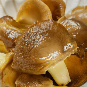 Jamur tiram kering organik kualitas tinggi grosir jamur jumlah besar untuk memasak - Product Image 5