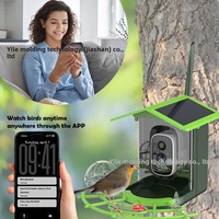 Mangeoire à oiseaux automatique solaire avec caméra HD 2K, étanche, reconnaissance IA intelligente et contrôle par application