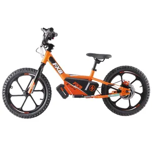 뜨거운 판매 16 인치 전기 균형 자전거 300W 350W 브러시리스 허브 모터 장난감 아이들을위한 전기 아이 자전거 모터 자전거