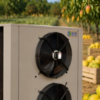 California Dadelpompmachine Warmtepomp Fruitdroger voor Coachella Dadels