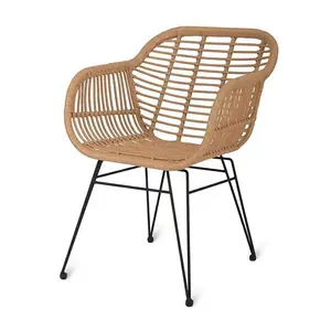 Mobilier d'extérieur, chaise de jardin, cadre métallique, restaurant, bistrot, chaise en rotin en plastique