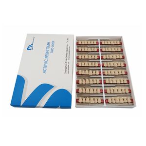 Dental Synthetic Anterior Teeth 26 Colors Front <b>Denture</b> Teeth Two Layer 6x1 - Product Image 1