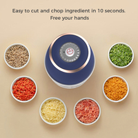 Hachoir automatique à ail et oignon, coupe-légumes domestique facile, mini mixeur portable à piles avec bouton-poussoir, sans BPA