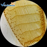 100 Uds. Microscopio de biología diapositivas preparadas microscopio biología diapositivas educativas fábrica de diapositivas preparadas biológicas