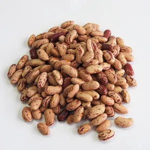 Kacang Borlotti, Kacang Rosecoco, Saluggia