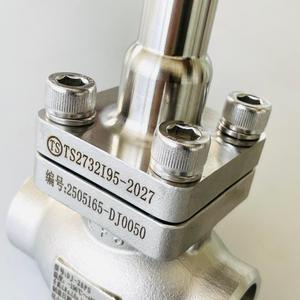 Vanne cryogénique à tige moyenne DJ61F40P DJ-25PS DN25 pour GNL, LO2, LN2, LAr et CO2, Vanne cryogénique à tige moyenne DJ-25P DJ-25PS - Product Image 5