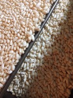 Machine à pop-corn commerciale automatique gaz nouvelle usine alimentaire de grains de maïs grande machine d'expansion de céréales