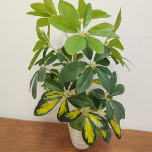 Planta Artificial de Hoja Verde con Tallo de Madera, Planta en Maceta para Decoración de Interiores, Hogar, Hotel, Ventana, Bonsái - Product Image 1