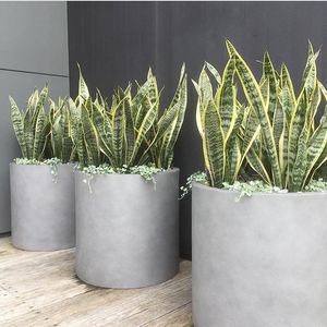 Macetas <span class=keywords><strong>de</strong></span> fibra <span class=keywords><strong>de</strong></span> vidrio personalizadas para interiores y exteriores, macetas para centros comerciales, macetas grandes, fábrica original. - Product Image 3