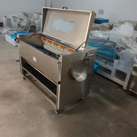 Machine automatique multifonctionnelle de nettoyage et de pelage du manioc ; Machine industrielle et commerciale de nettoyage des pommes de terre et du gingembre