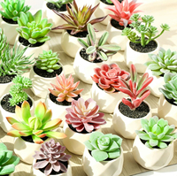 Mini bonsaï artificiel élégant, fausse plante succulente, ornement de bureau, petite plante en pot simulée pour la décoration de la maison et de la table