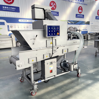 Machine automatique de panure pour poissons/crevettes/coquilles Saint-Jacques, ligne de production de tempura de crevettes SXJ400-V à vendre